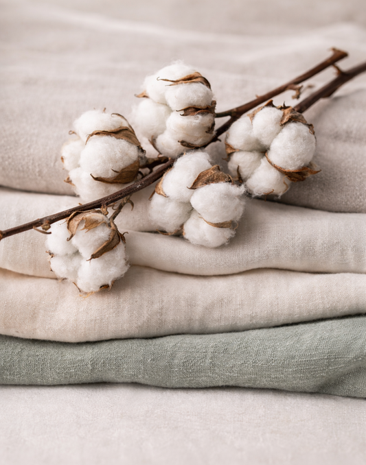 Building With Intent: Why Social Impact Matters to CABERFEIDH